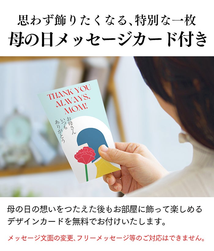 母の日 ギフト あけぼの MDXK | カステラ専門店【長崎心泉堂】公式サイト