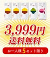 新春 カステラ 福袋 梅 2025年 食品 お菓子 菓子 カステラ  選べる ネタばれ 中身がわかる 人気 正月 お買い得 お得 