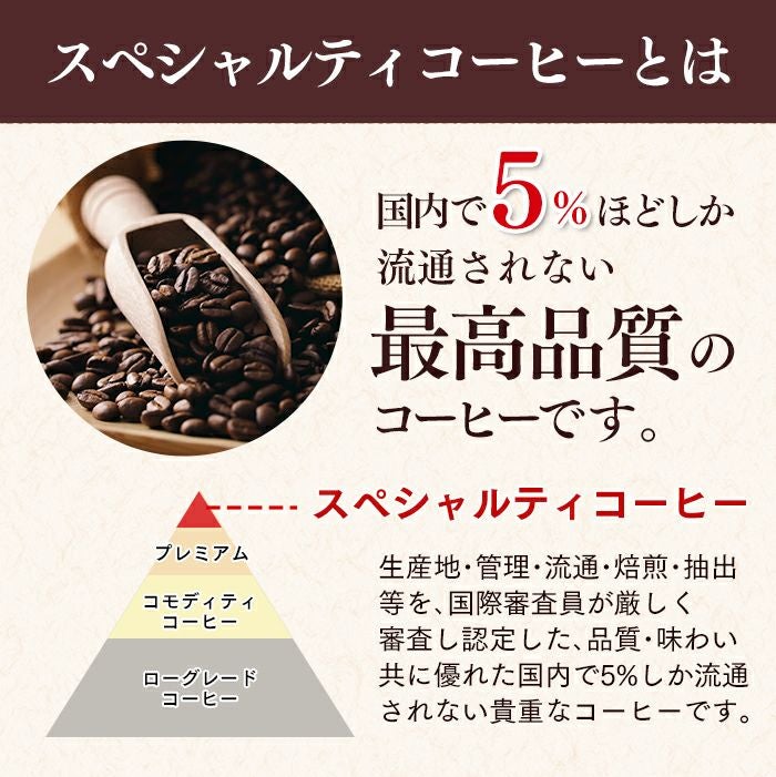 母の日 ギフト コーヒー カステラ セット