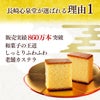 開運 干支 午　うま カステラ 0.5号 2026 WGM8