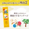 開運 干支 午　うま カステラ 0.5号 2026 WGM8