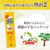 開運 干支 午　うま カステラ 0.5号 2026 WGM8