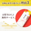 開運 干支 午　うま カステラ 0.5号 2026 WGM8
