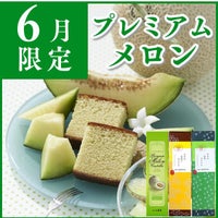 メロンカステラ 0.6号 3本 セット T650x3