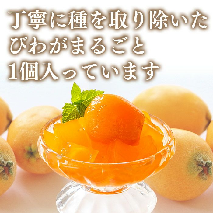 長崎 びわゼリー ギフト 9個入り TO95 | カステラ専門店【長崎心泉堂