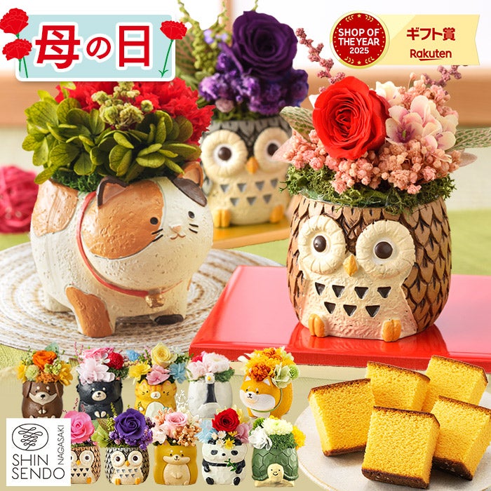 母の日ギフト 動物プリザとカステラ MDPE レビュー | カステラ専門店
