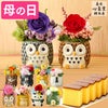 母の日ギフト 動物プリザとカステラ MDQ4