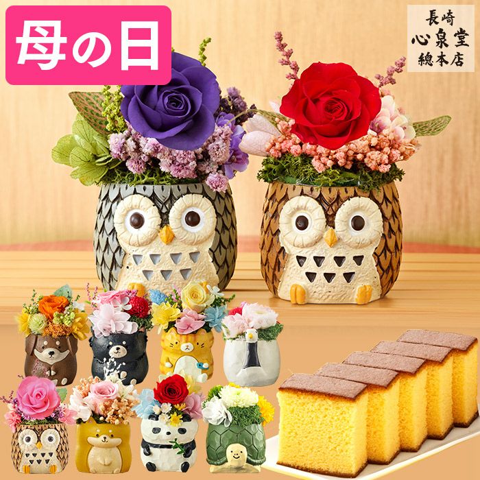 母の日ギフト 動物プリザとカステラ MDQ4