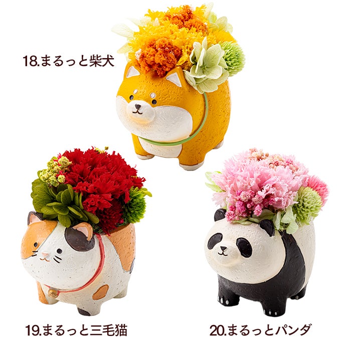 母の日ギフト 動物プリザとカステラ MDPE | カステラ専門店【長崎心泉