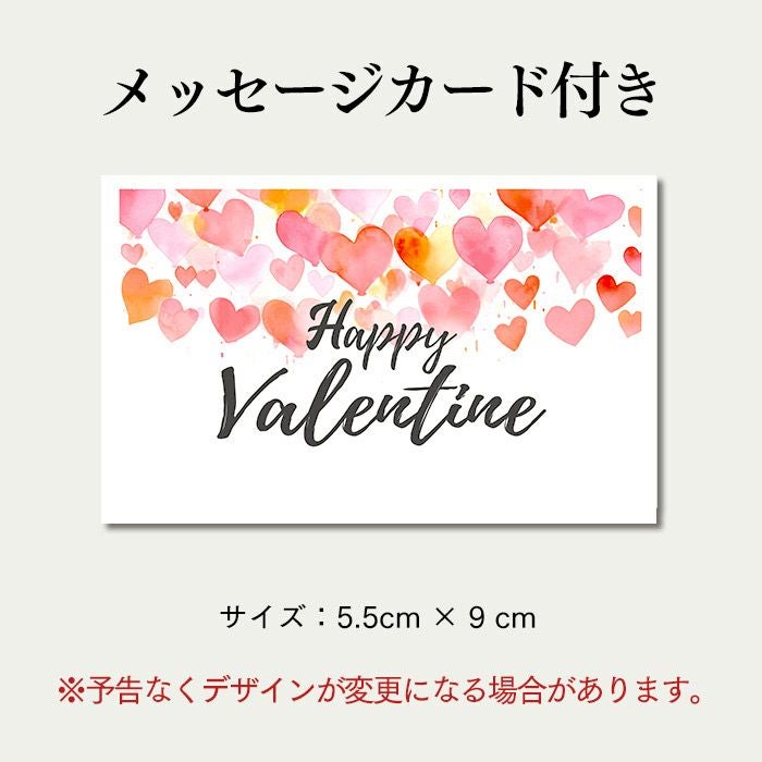 ショコラ・テラ 個包装8個 バレンタイン VD1D