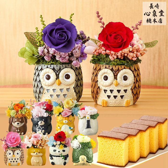 花とスイーツ ギフト 動物プリザとカステラ TO53 | カステラ専門店