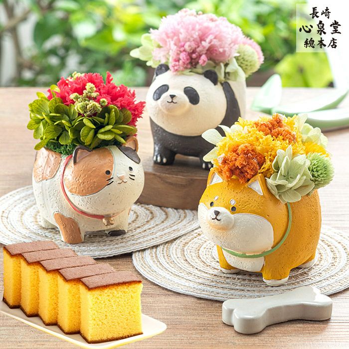 花とスイーツ ギフト まるっとした動物プリザとカステラ TO71