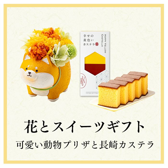 花とスイーツ ギフト まるっとした動物プリザとカステラ TO71