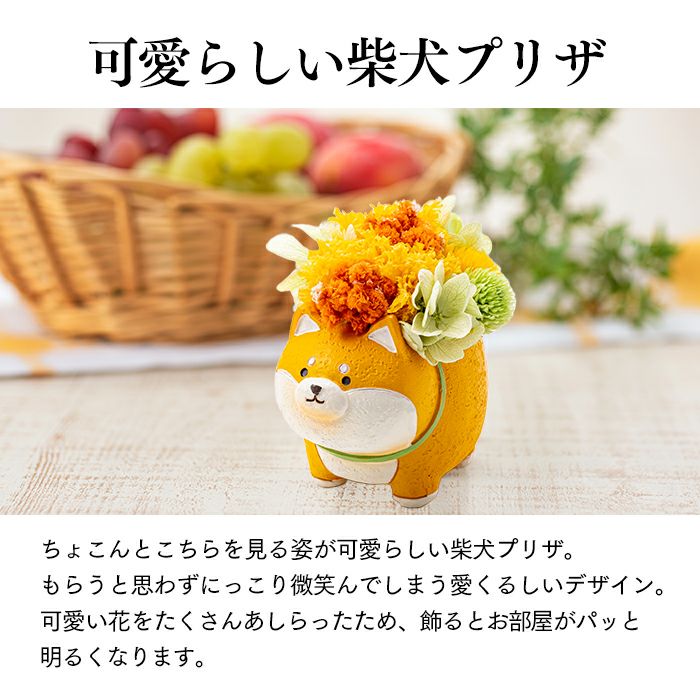 カステラ 花とスイーツ ギフト まるっとした動物プリザとカステラ TO71