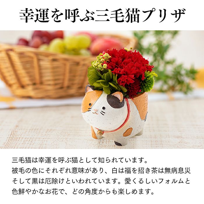 花とスイーツ ギフト まるっとした動物プリザとカステラ TO71
