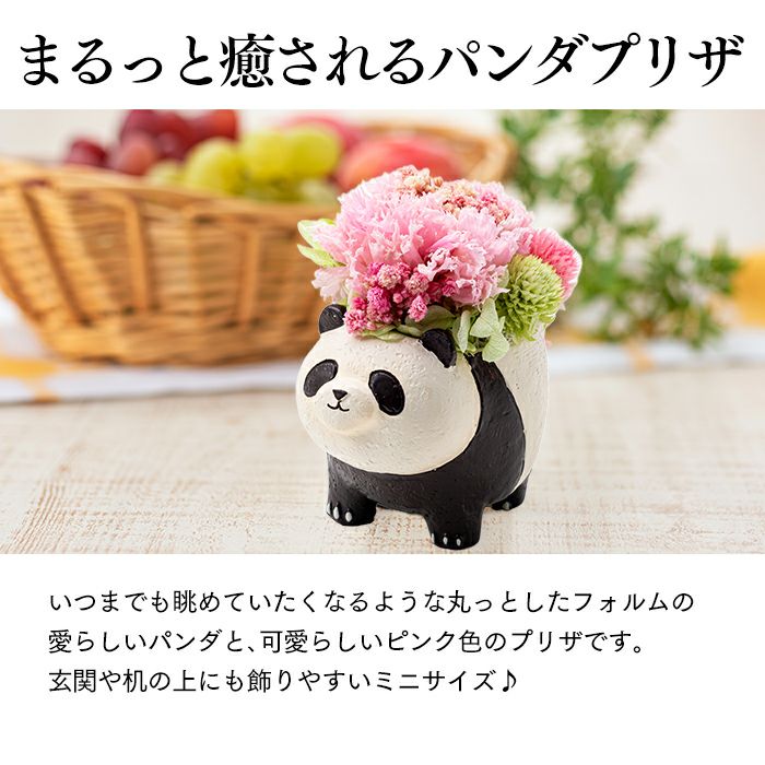 花とスイーツ ギフト まるっとした動物プリザとカステラ TO71