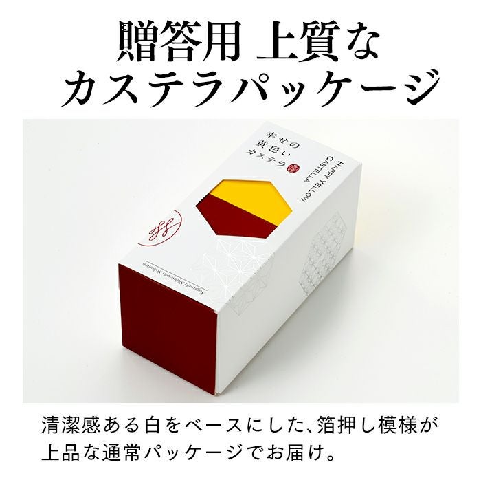お中元 ギフト ようかんと長崎カステラ SGVH | カステラ専門店【長崎心