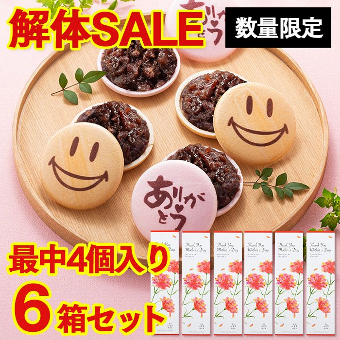 解体セール】 母の日 最中4個入り×6箱 送料無料 SL TZ22 | カステラ
