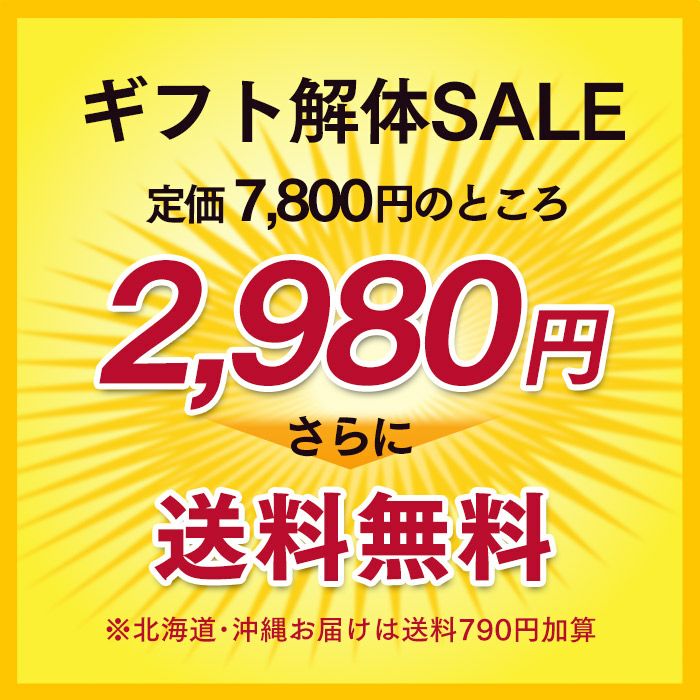 解体セール】 母の日 最中4個入り×6箱 送料無料 SL TZ22 | カステラ