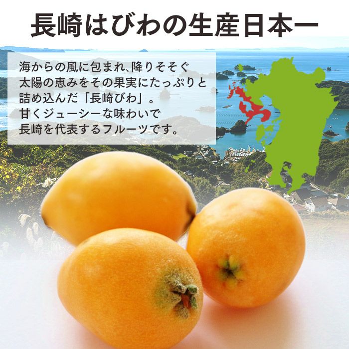 長崎 JA びわゼリー ギフト8個入り TO9I | カステラ専門店【長崎心泉堂