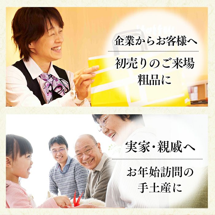 お年賀 ギフト 干支せんべい お菓子 24枚 WGKZ