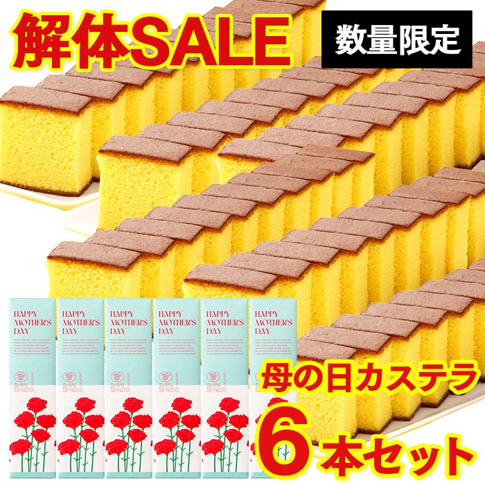 セール商品 の選び方 | カステラ専門店【長崎心泉堂】
